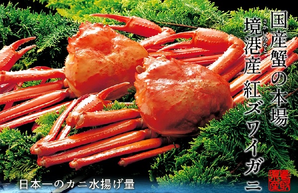 境港の紅ズワイ蟹