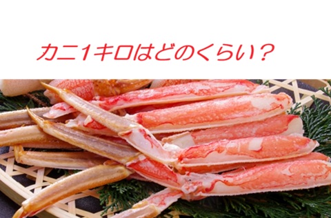 カニ1キロはどのくらい？